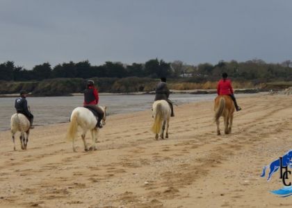 Balades en cheval sur les plages de Damgan